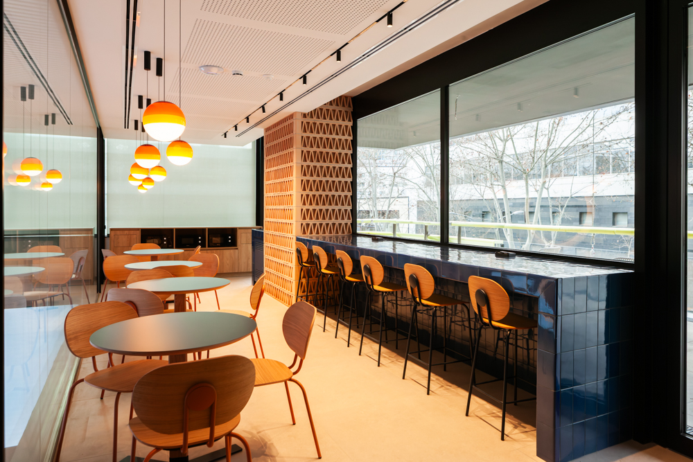 05_CONSTRUCIA TORRE LLACUNA__16-02-2025__-IMG_3261