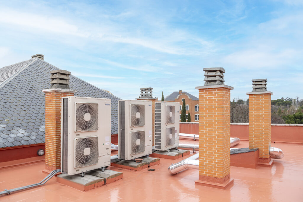 2419_Construcia Exe 262